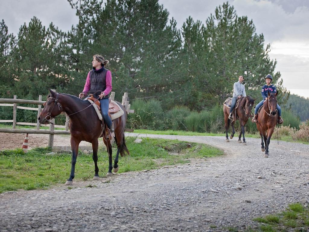Seggiano Tenuta La Silva מראה חיצוני תמונה