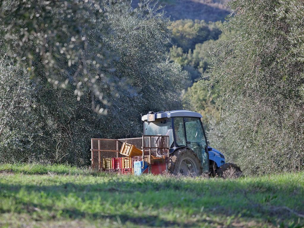 Seggiano Tenuta La Silva מראה חיצוני תמונה