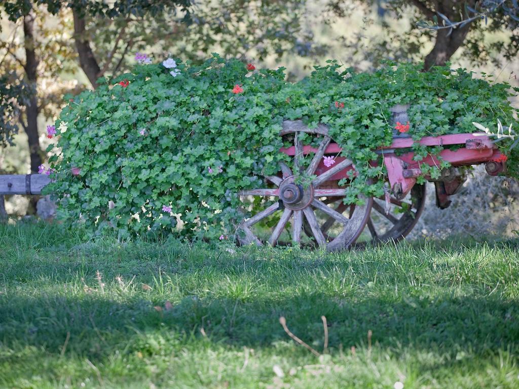 Seggiano Tenuta La Silva מראה חיצוני תמונה