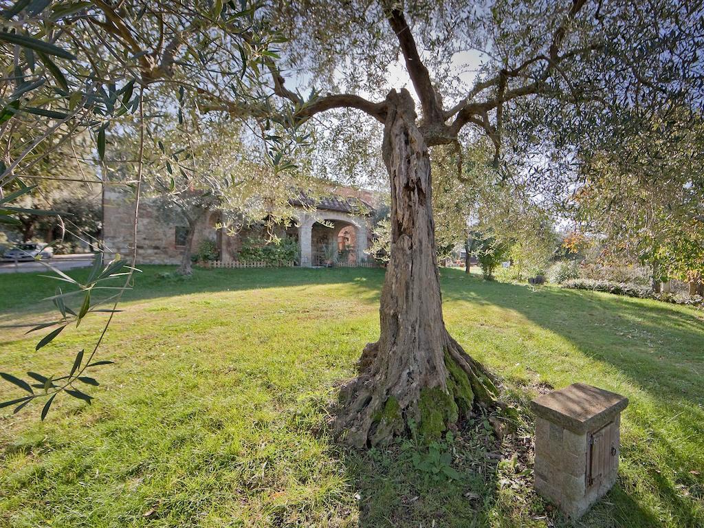 Seggiano Tenuta La Silva מראה חיצוני תמונה
