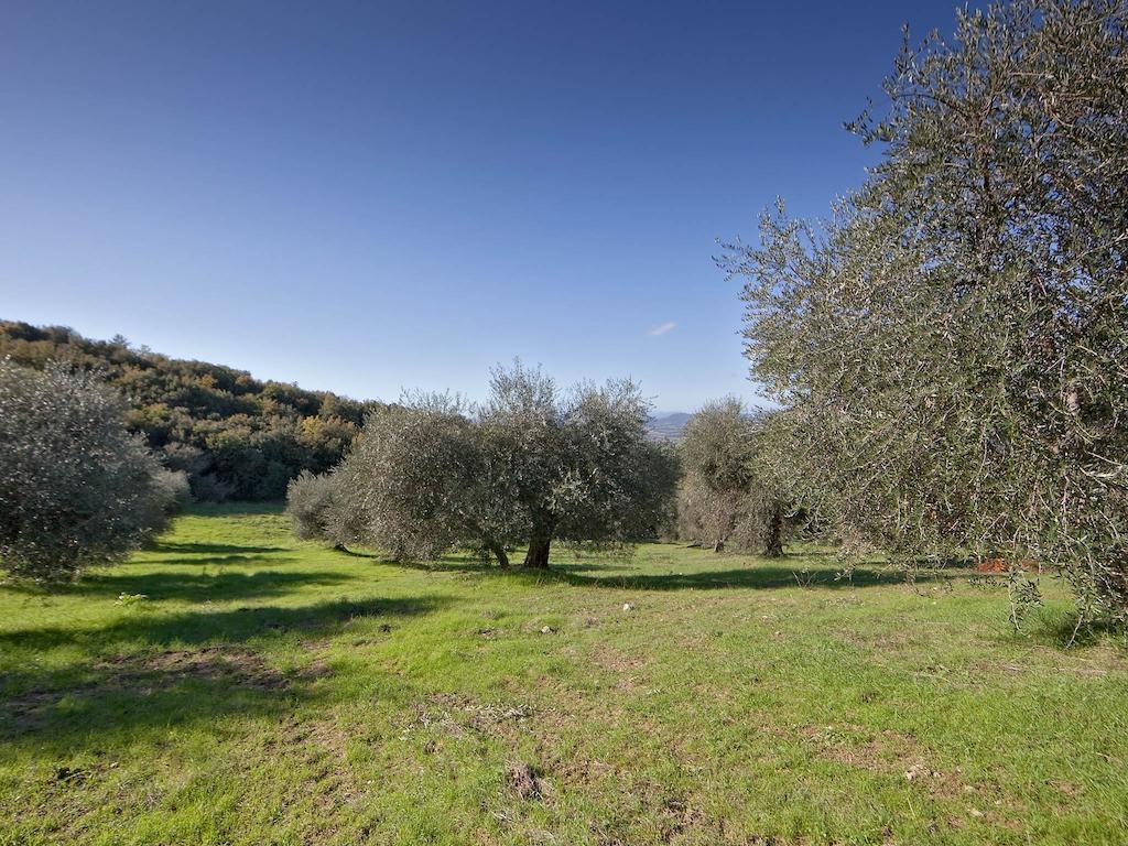 Seggiano Tenuta La Silva מראה חיצוני תמונה