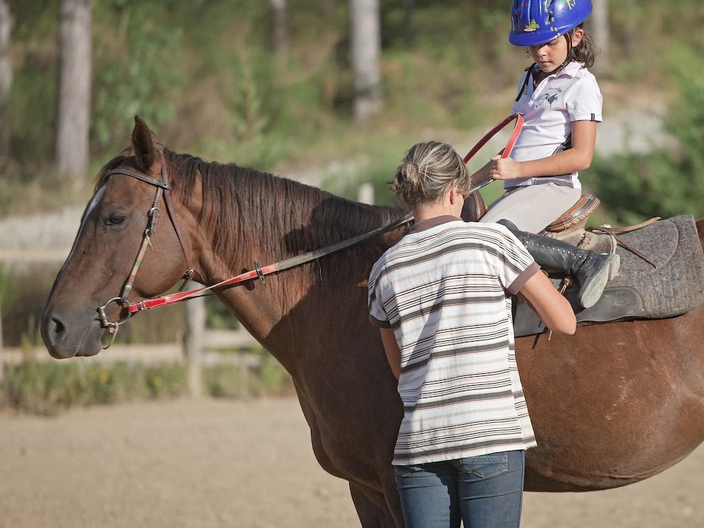 Seggiano Tenuta La Silva מראה חיצוני תמונה