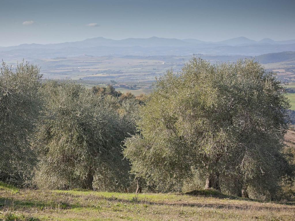 Seggiano Tenuta La Silva מראה חיצוני תמונה